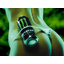 clanlogo