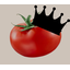 clanlogo