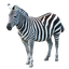 clanlogo