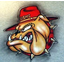 clanlogo