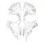 clanlogo