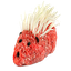 clanlogo